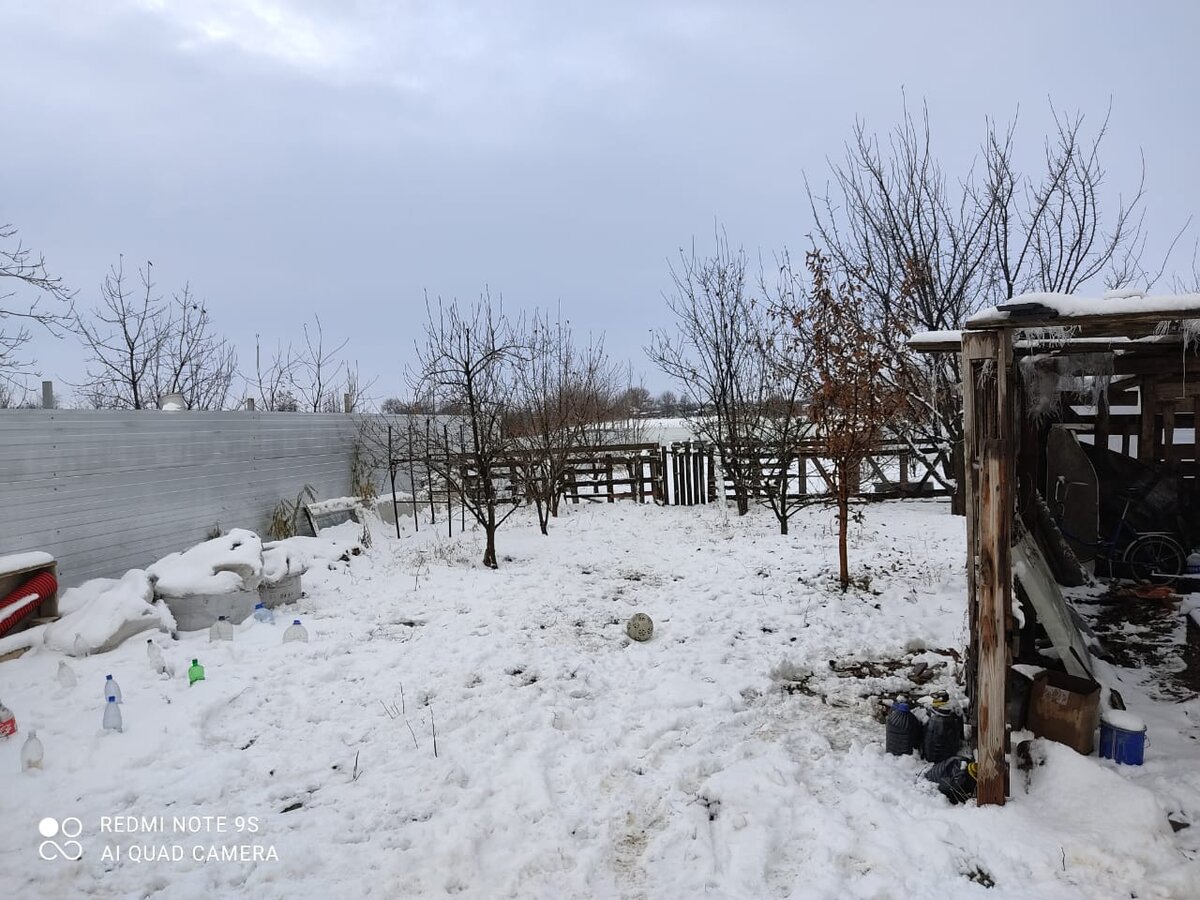 Вот так теперь выглядит мой участок...