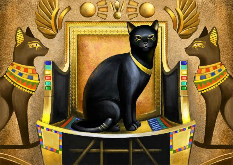 Фото с сайта aminoapps.com