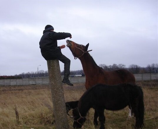 Фото автора. Для иллюстрации интересов.