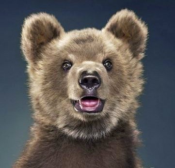 Фото из свободных источников