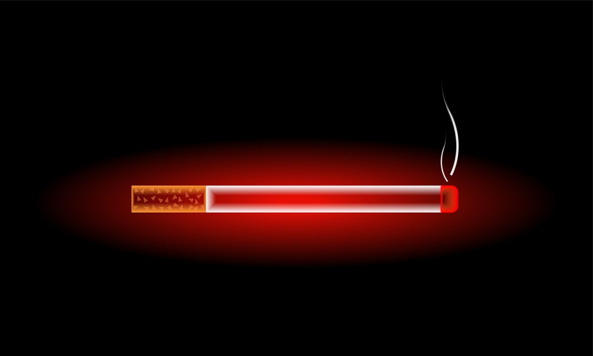 Фото из Pixibay.com