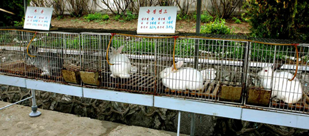Источник изображения: juche-songun.livejournal.com
