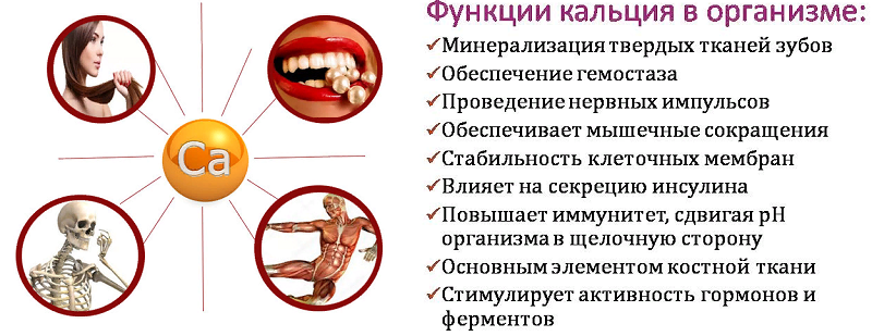 Дефицит кальция фото