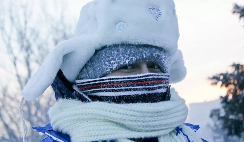 Фото: Яндекс Картинки