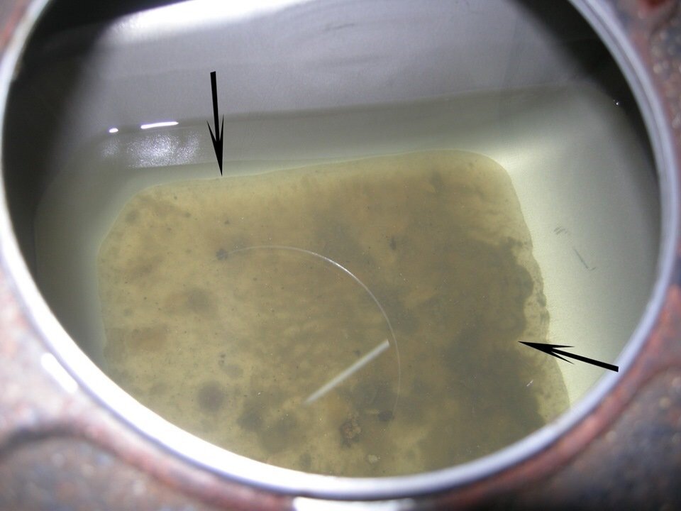 Фото из Яндекса 