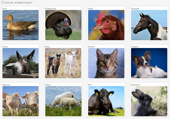список животных