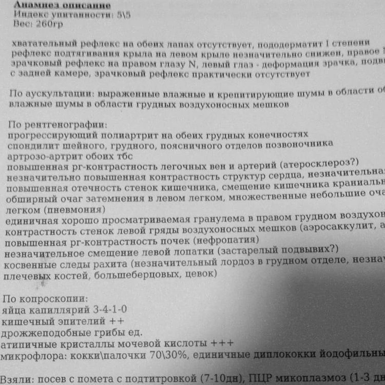 Заявление на предоставление справки для налоговых органов