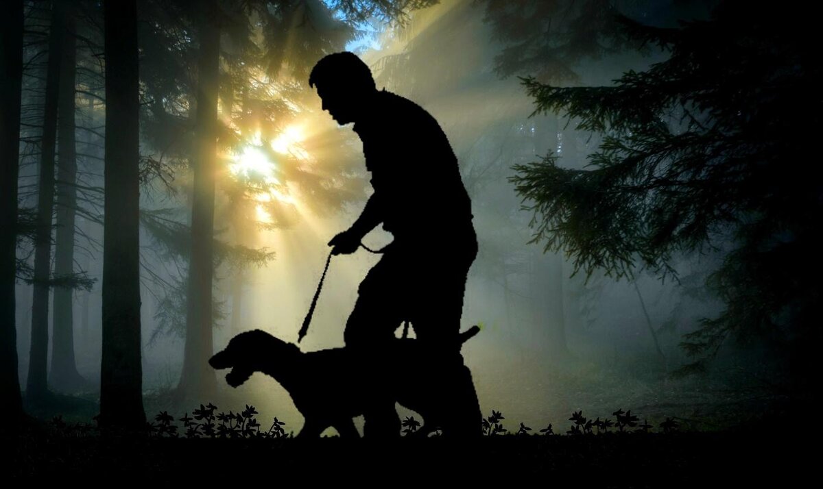 Изображение Anja с сайта Pixabay