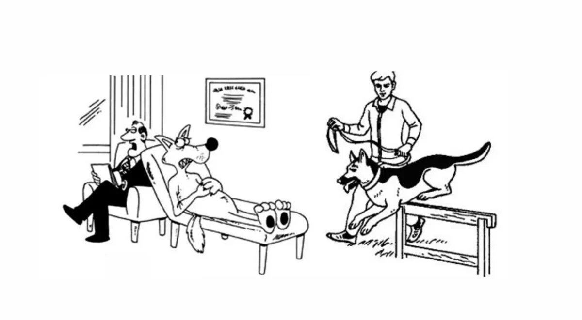 Картинка с Дзен канала КотПлюсДом