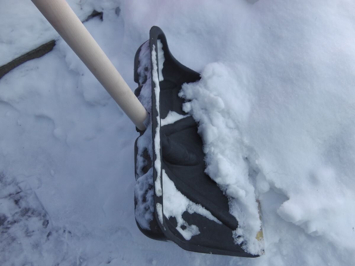 Накидываю снег в теплицу. Фото автора