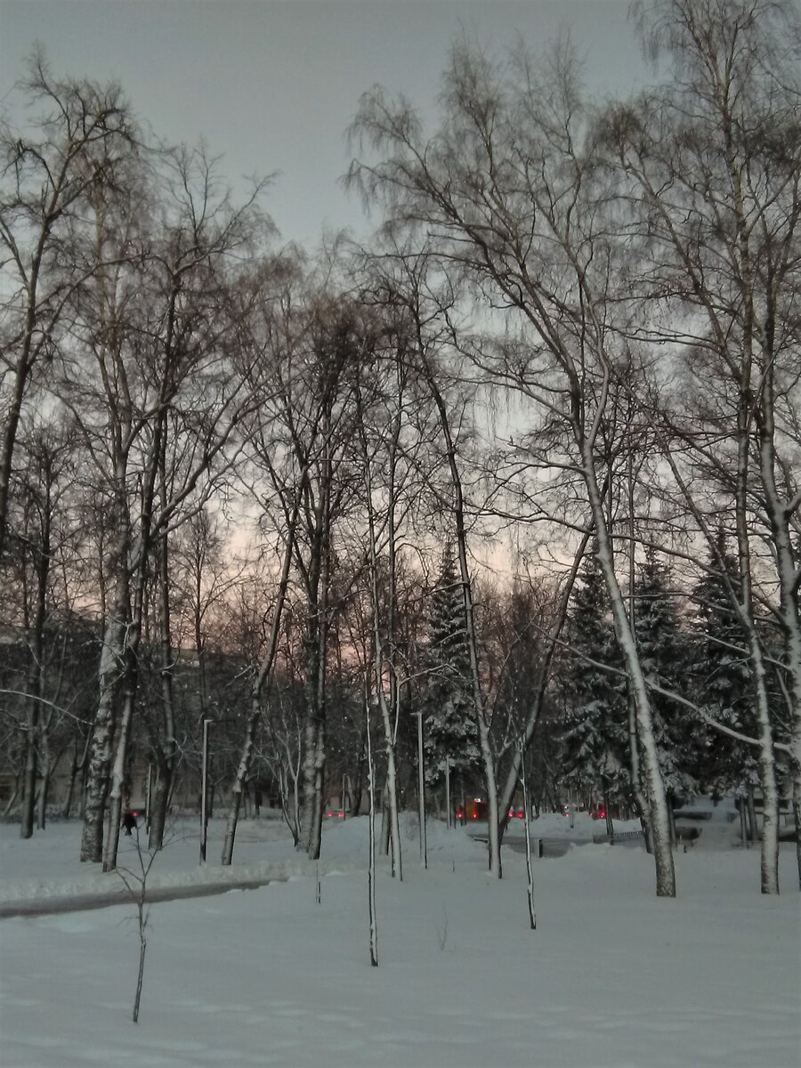 Сквер на площади Свободы