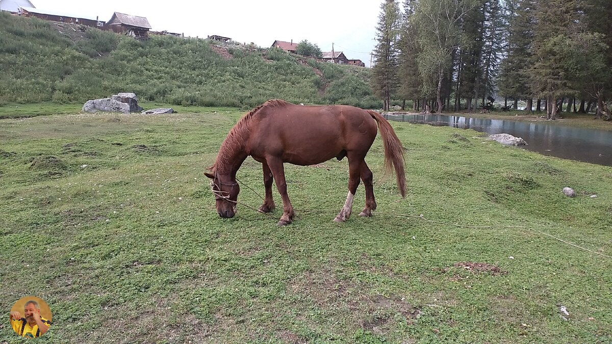 Варганная музыка способна передать ритмы и пульсации бытия