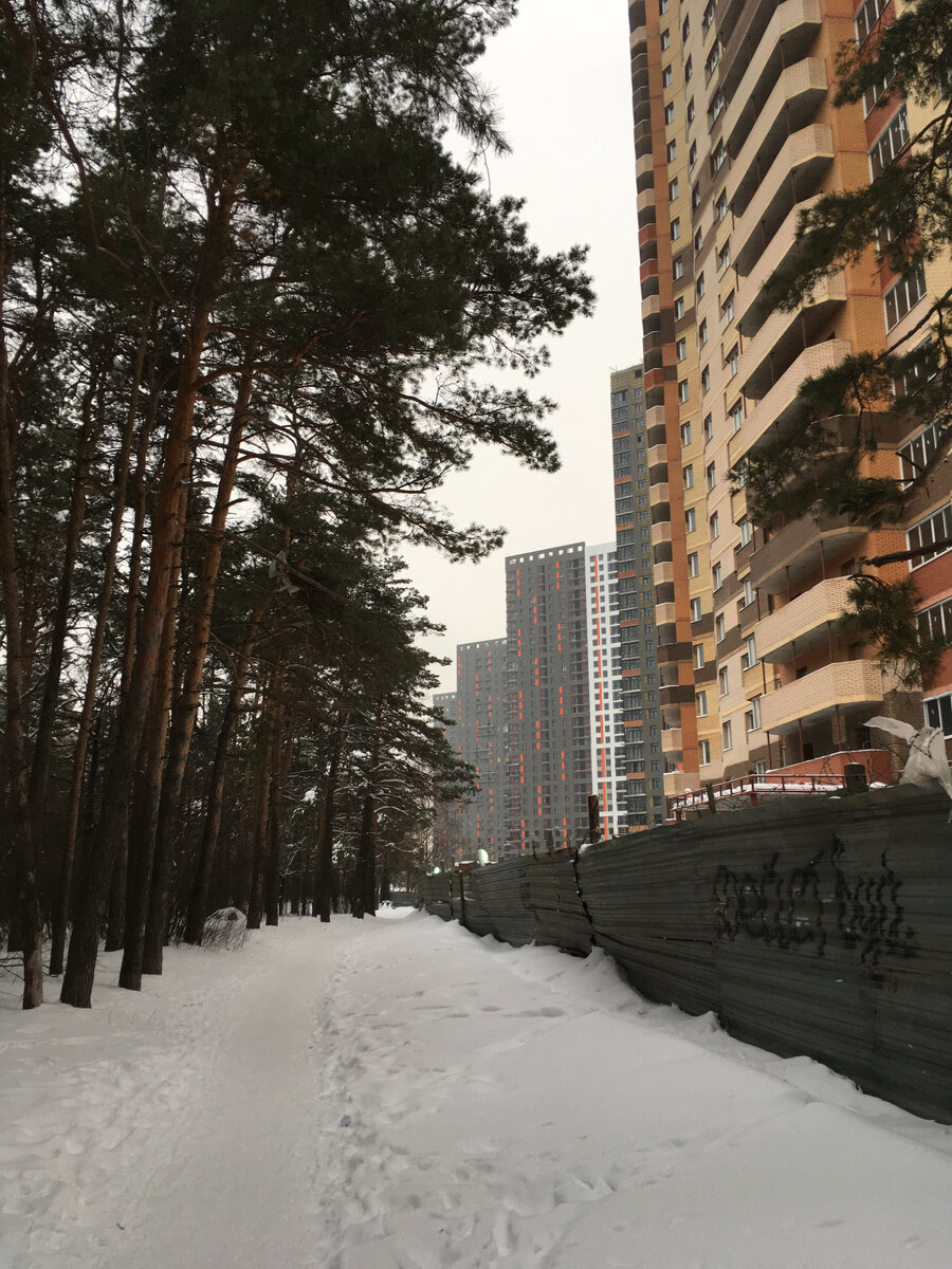 Многоэтажки надвигающиеся на лес