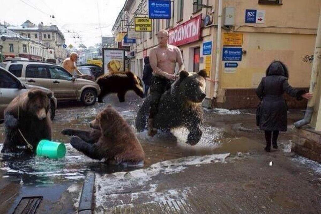 Где гуляет медведь