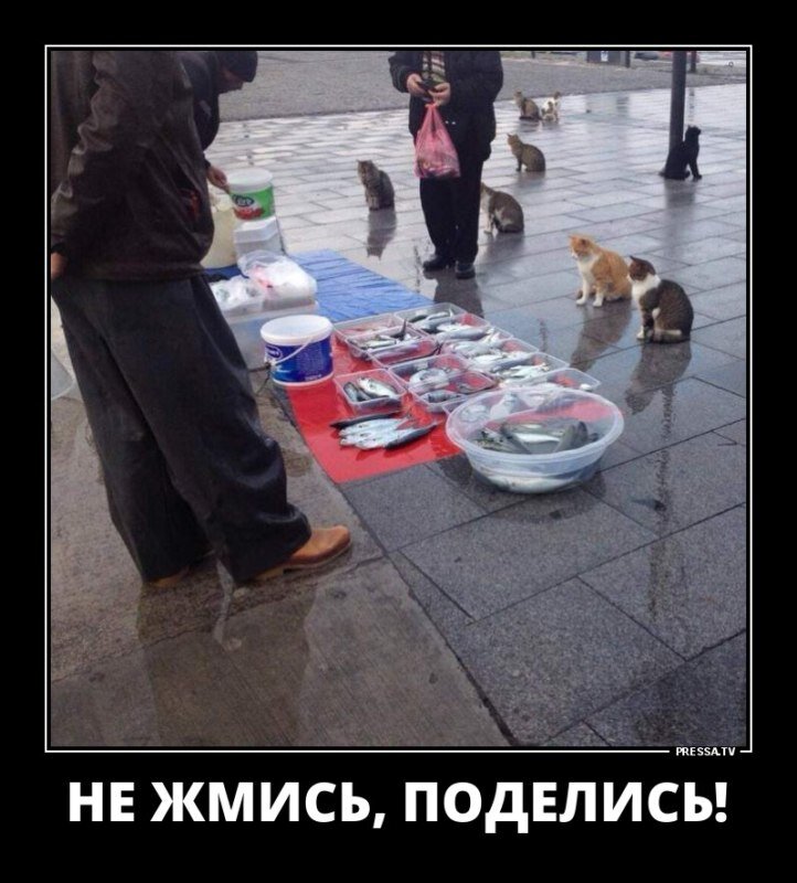 Рыбов продаете картинка