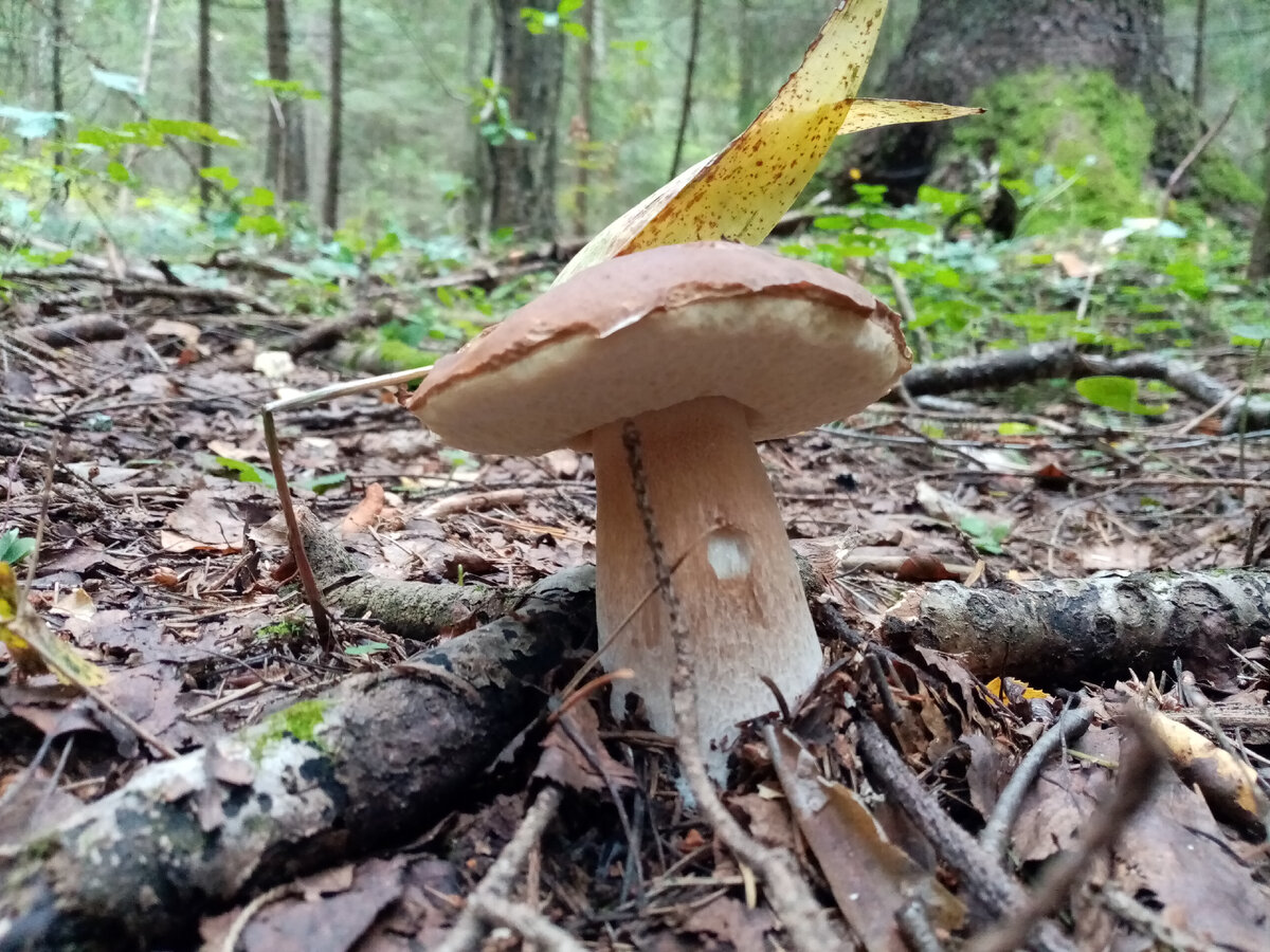 Фото авторское