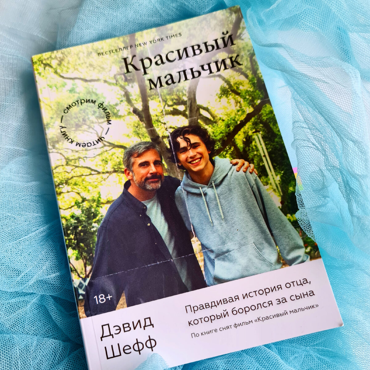 Красивый мальчик» — исповедь отца, теряющего сына! Обсуждаем мемуары,  легшие в основу тяжелейшего фильма с Кареллом и Шаламе! | Ещё страничку и  спать? | Дзен