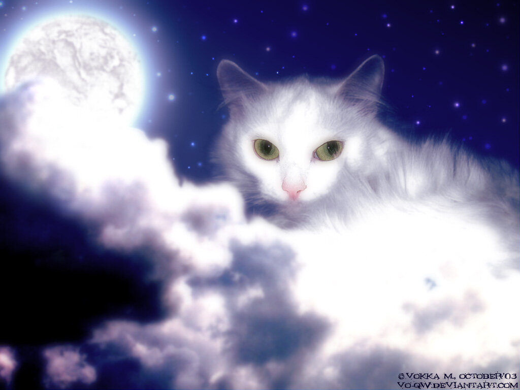 иллюстрация из открытых источников