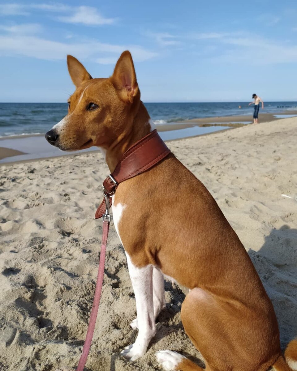 Наша Аиша на Балтийском море