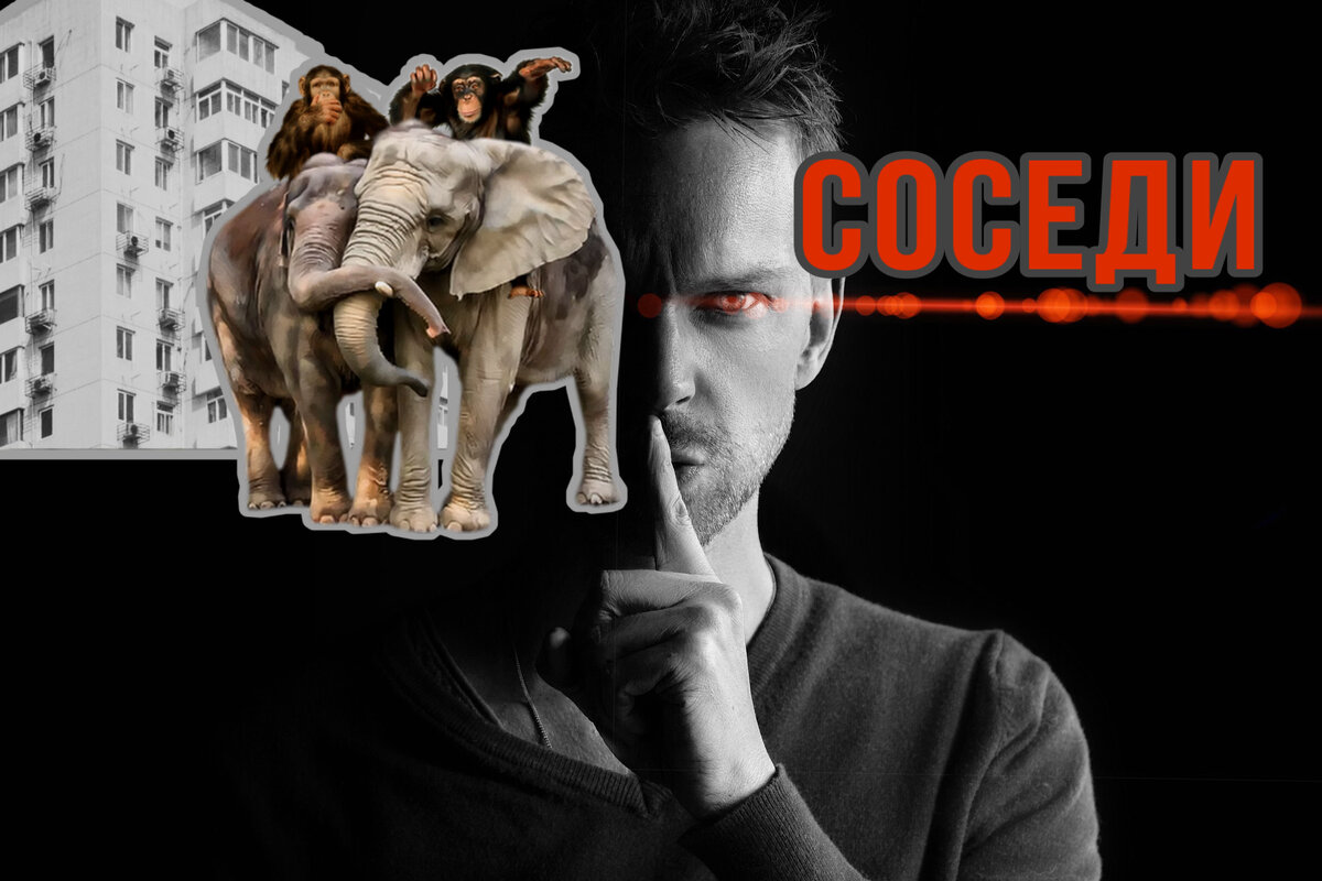 Источник Pixabay и редакция