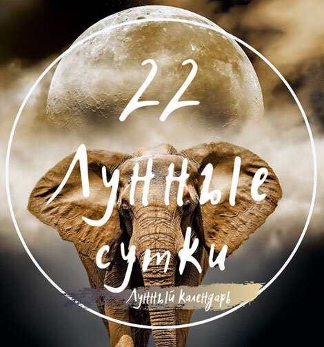 22 лунный день