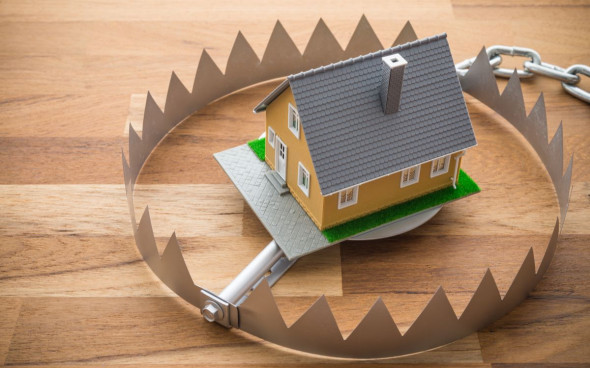 Фото: Pla2na\shutterstock 
