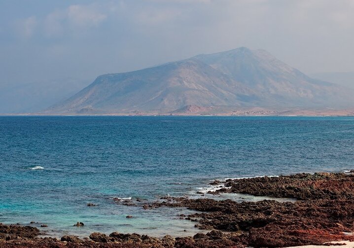 Фото из интернета.