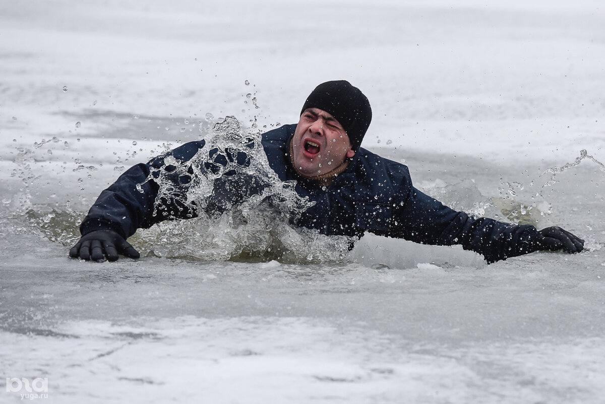                                            Источник: яндекс картинки