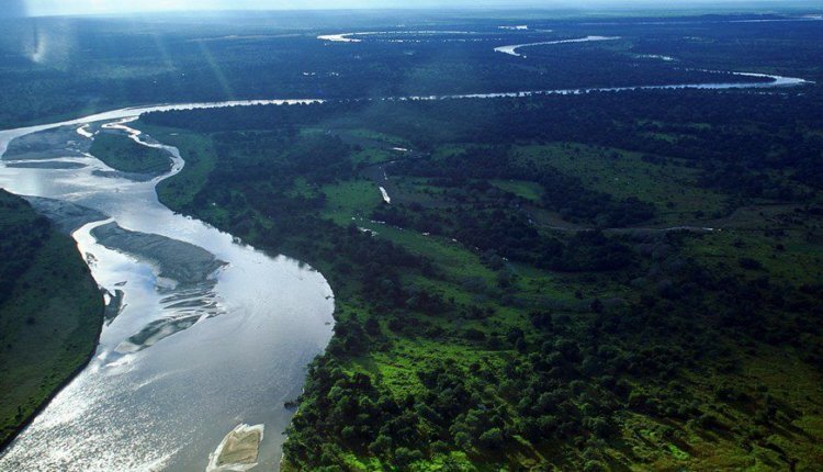 Фото из открытых источников