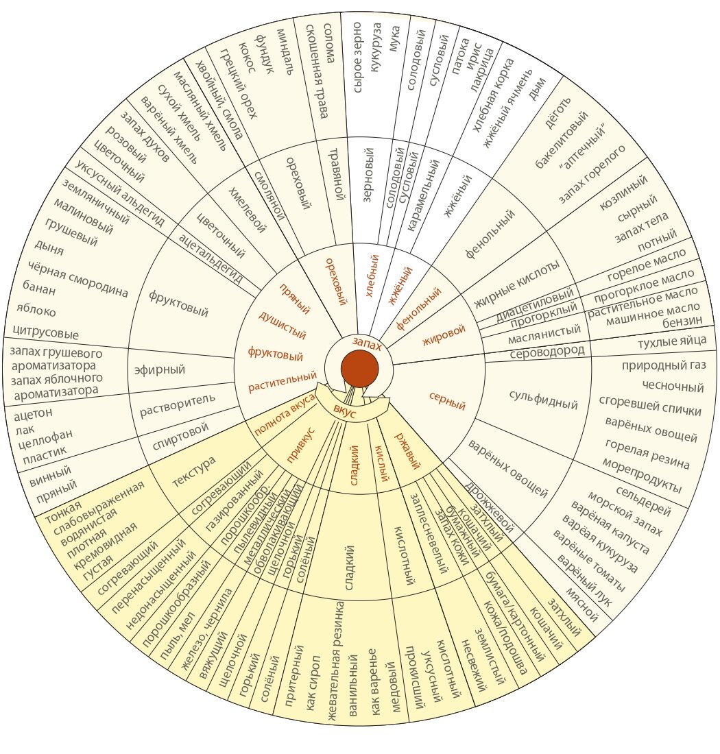 Вот на эту схему, составленную Мортеном Мелигаардом можно опираться при описании вкуса пива. 