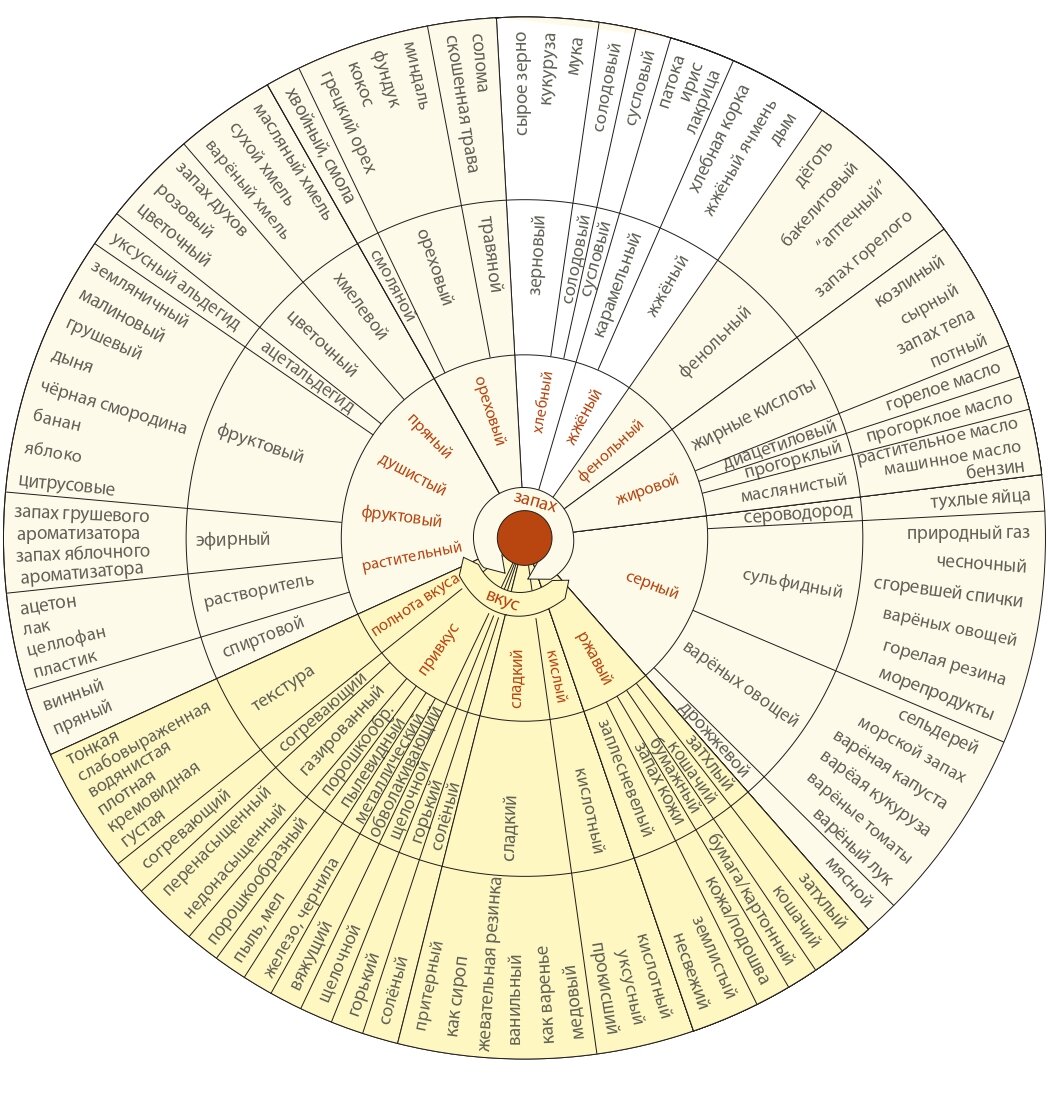 Описание вкуса. Колесо ароматов пива. Колесо вкусов и ароматов. Колесо вкусов пива. Колесо ароматов вина.
