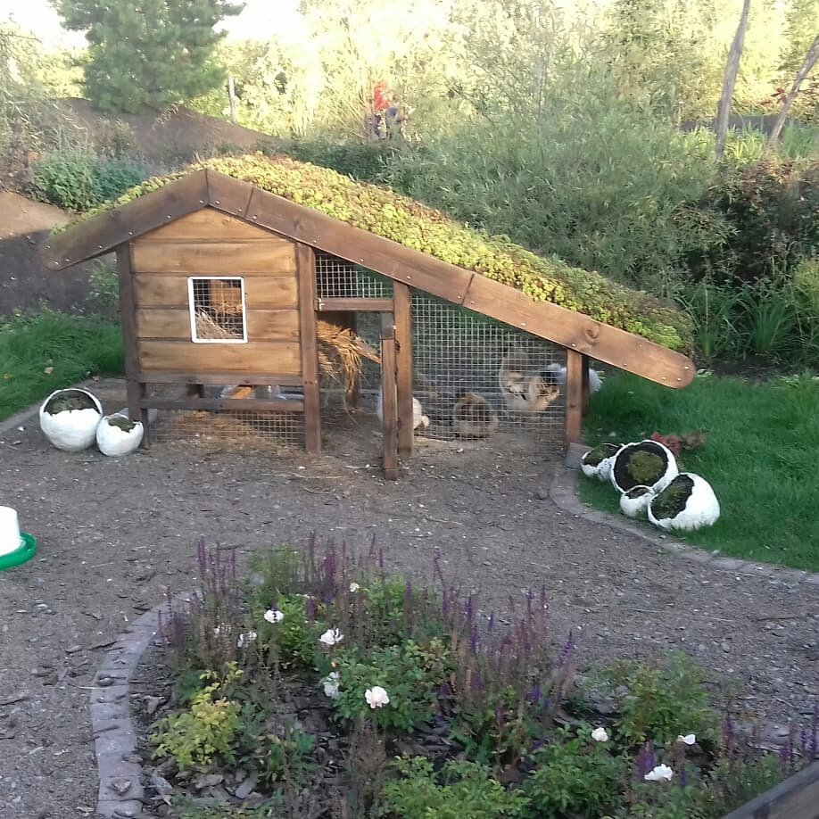 Проект "Сад у белых кур"