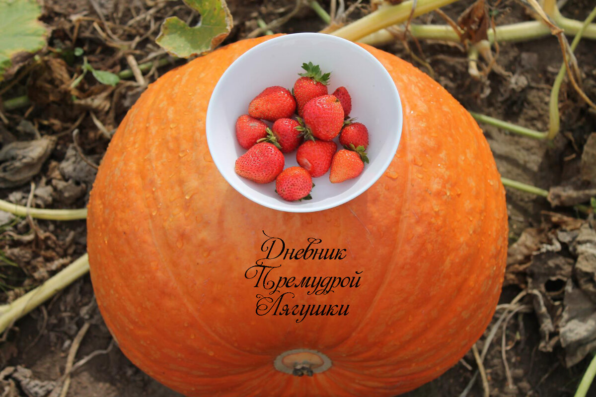 архивное фото автора