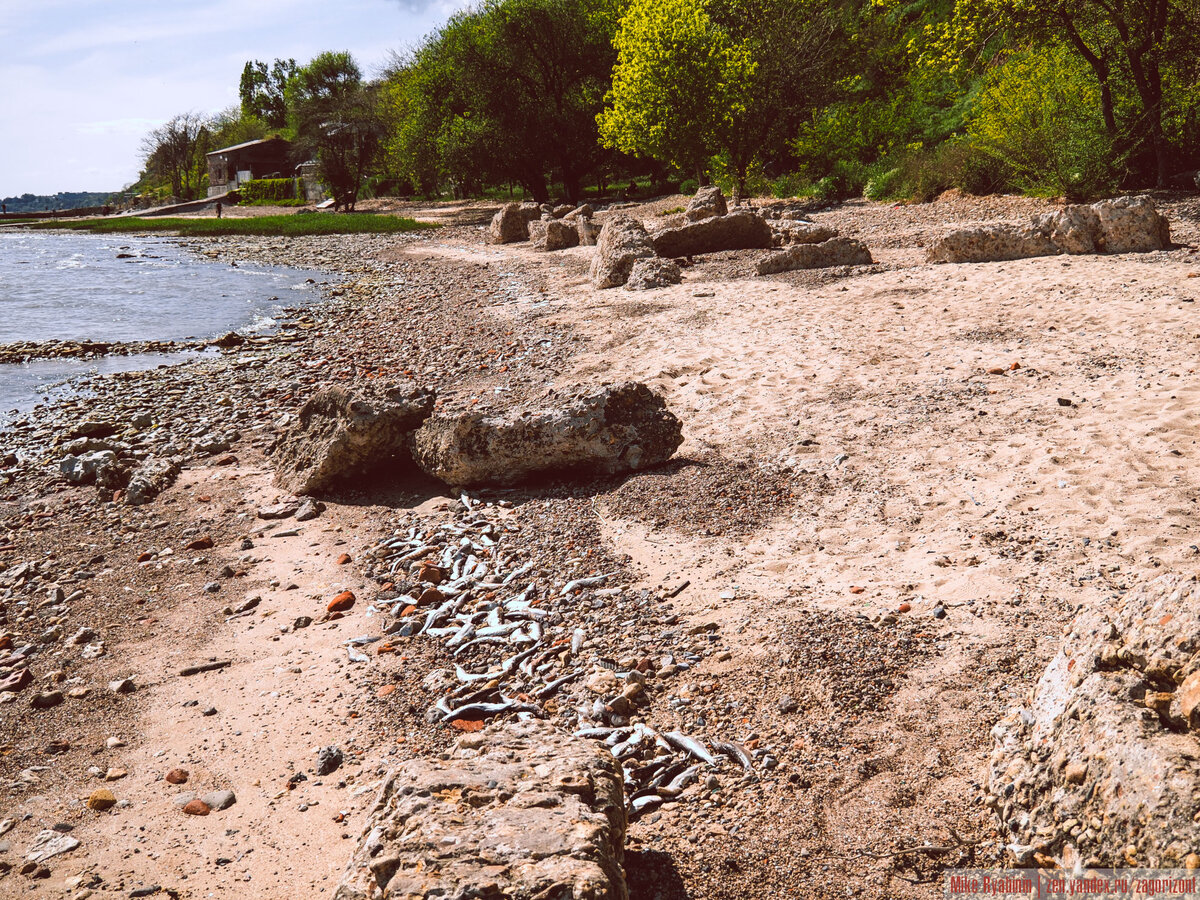 Экологическая катастрофа Азовского моря? Нет - последствия ...