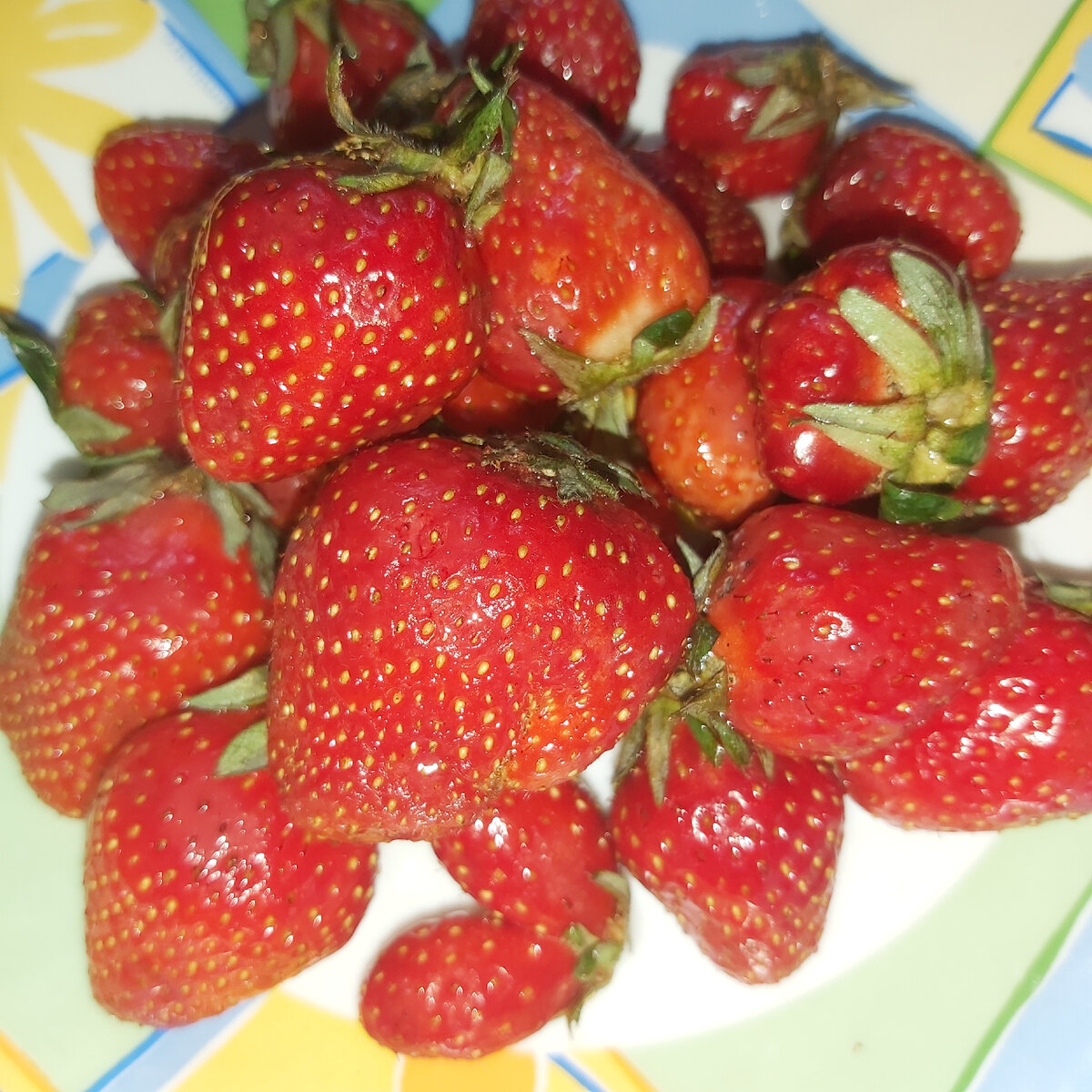 Все фото автора