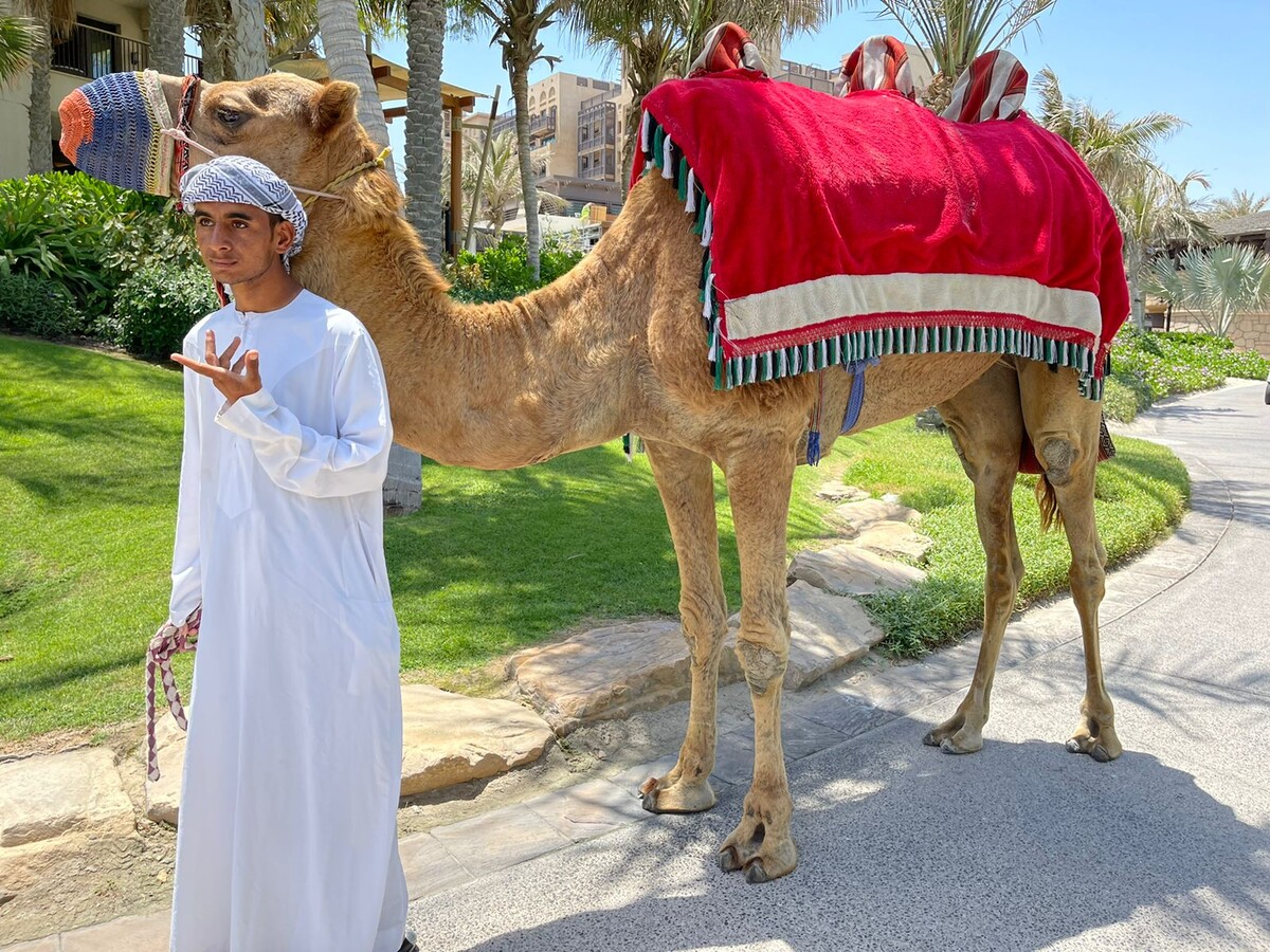 United Arab Emirates, Madinat Jumeirah Al Qasr — фото, сделанное автором из проезжающего багги. Личный архив автора.