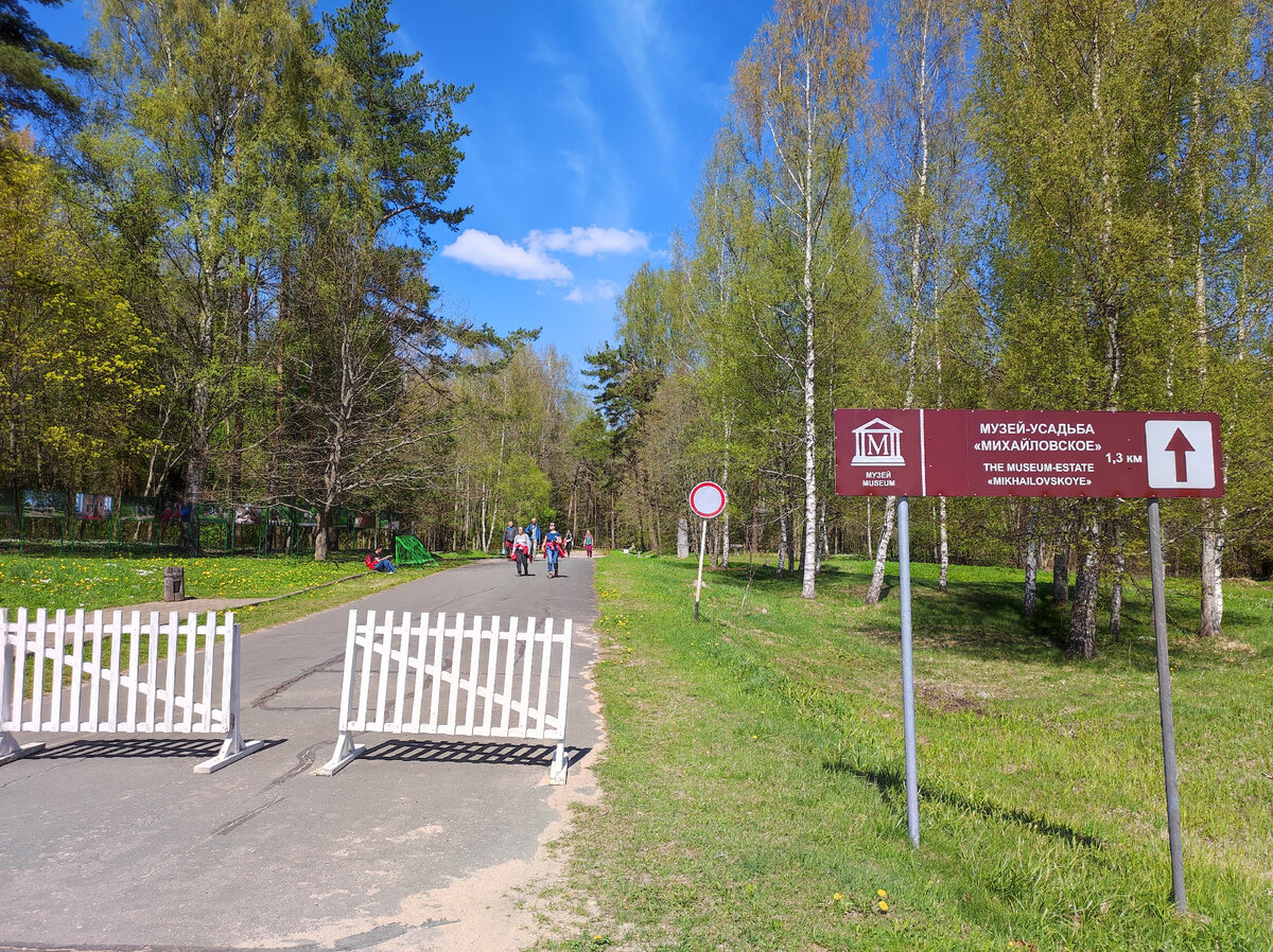 Путешествие в Пушкиногорье. Усадьба Михайловское | Походы, путешествия,  прогулки | Дзен