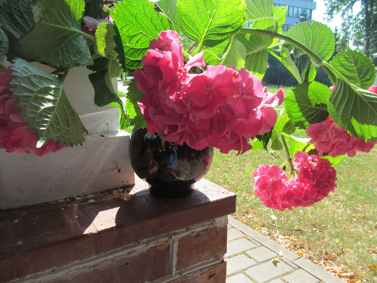 Картинка из личного архива. На летних пленэрах.