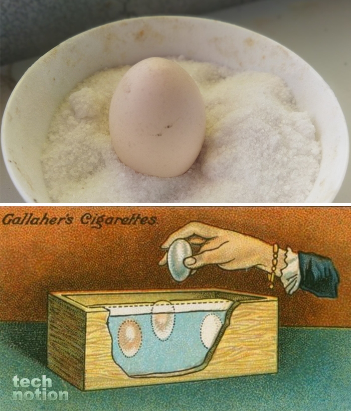 Интересный способ хранить яйца в соли / Изображение: дзен-канал technotion