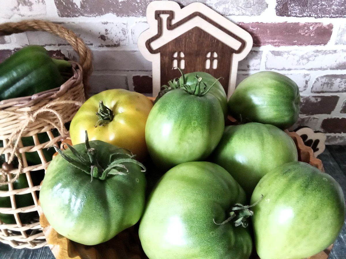 Дозревание помидоров. Фото от автора