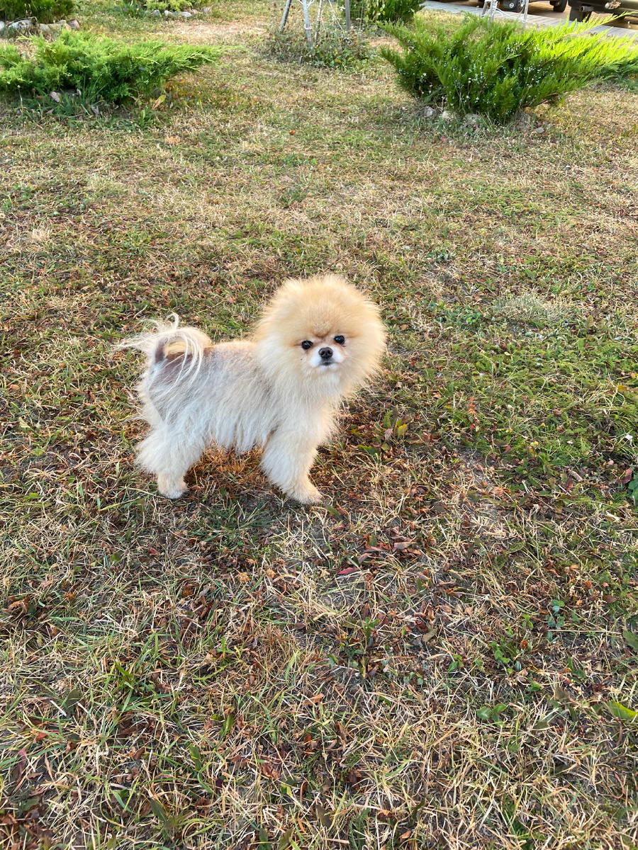 Умный малыш 