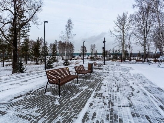     Фото: Густаво Зырянов / "МК в Новосибирске"