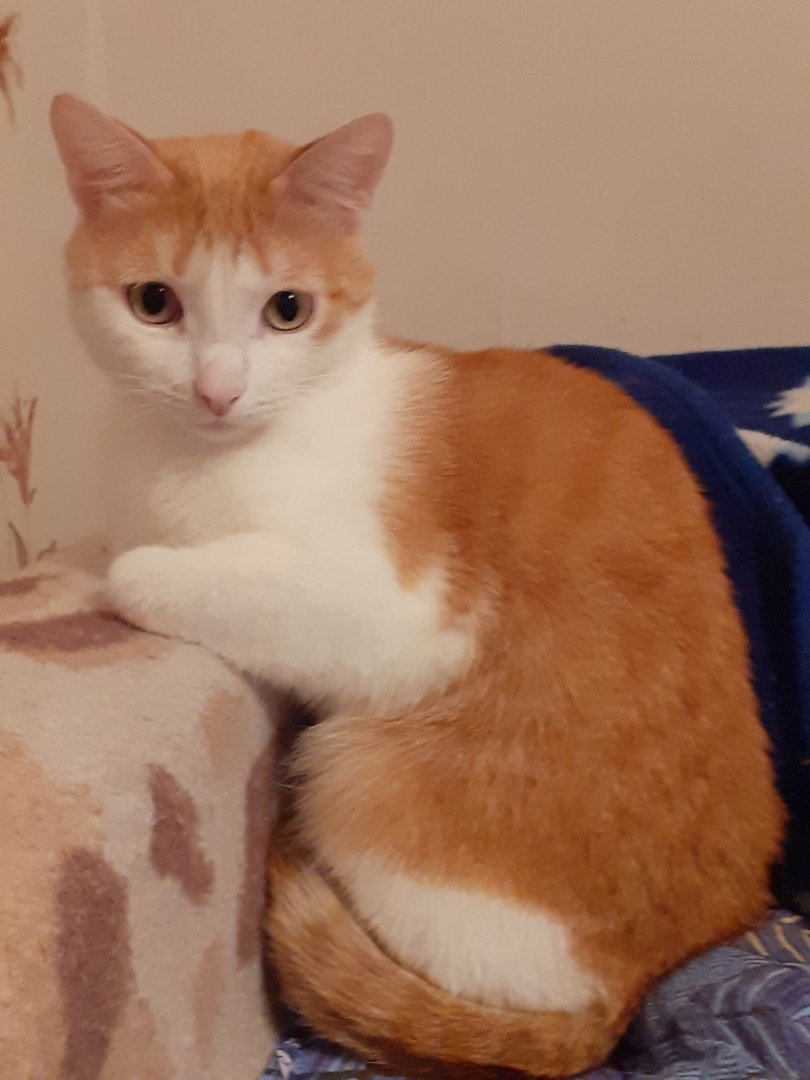 Фото из личного архива автора.