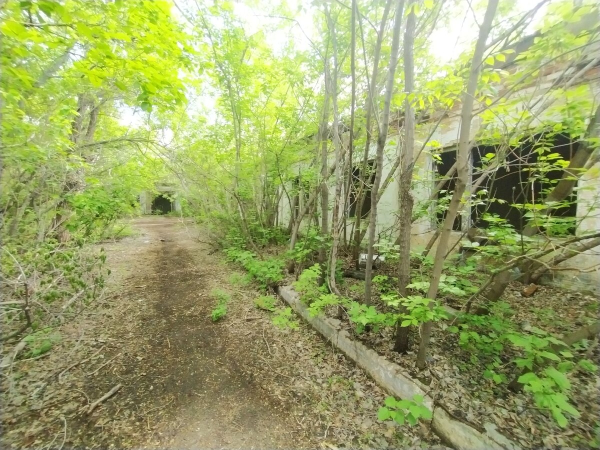 Детский летний трудовой лагерь СССР