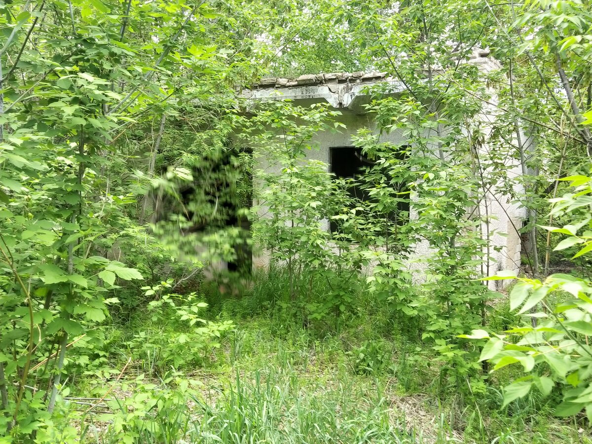 Детский летний трудовой лагерь СССР