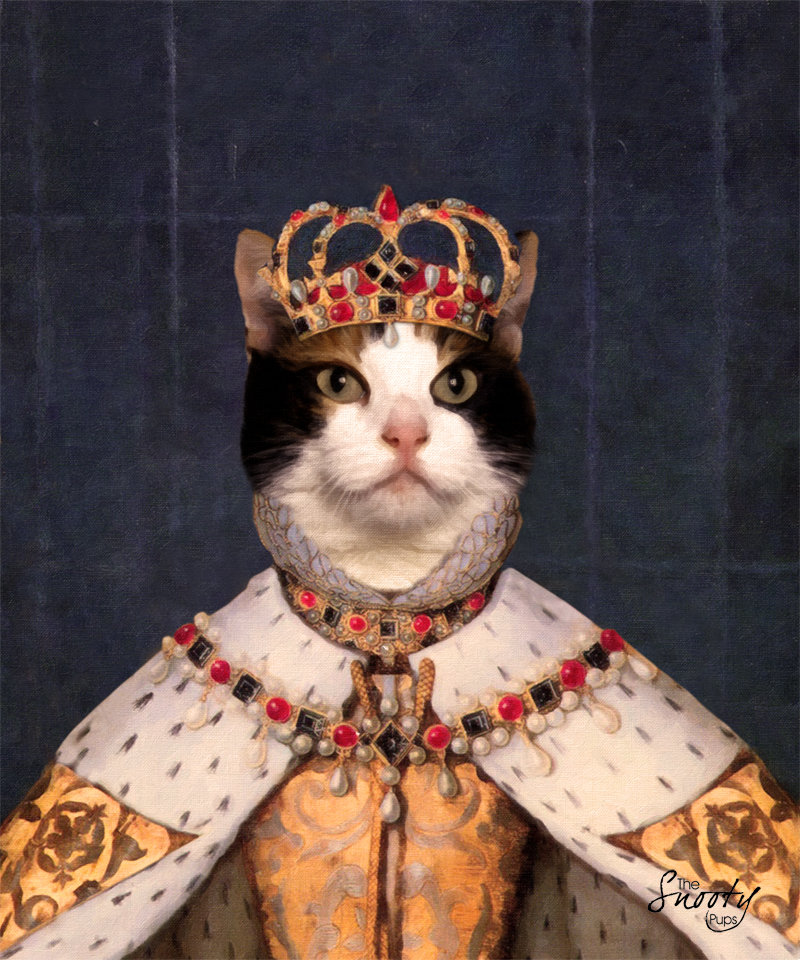 Император catkind. Кошка в мундире. Император котов. Кот император игрушка мягкая. Кот и король.