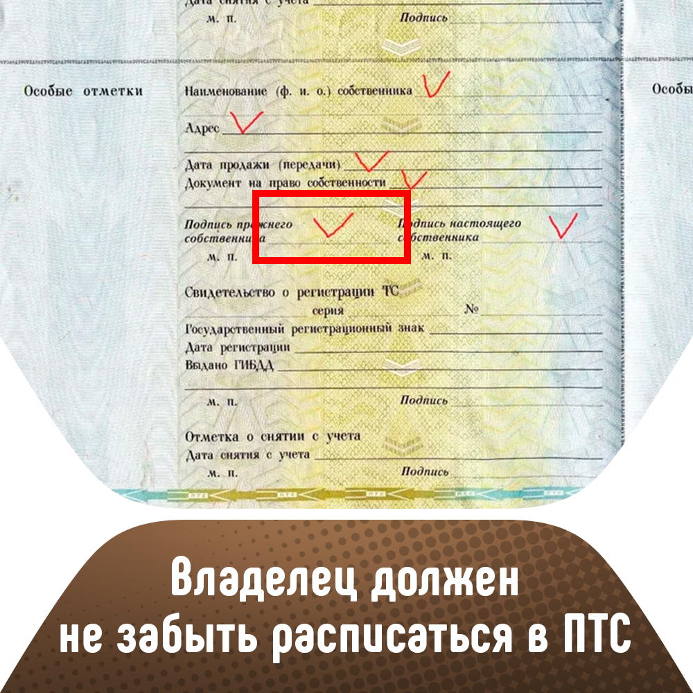 Нужно ли вписывать свое имя в ПТС после покупки б/у машины? | розаветров-воронеж.рф