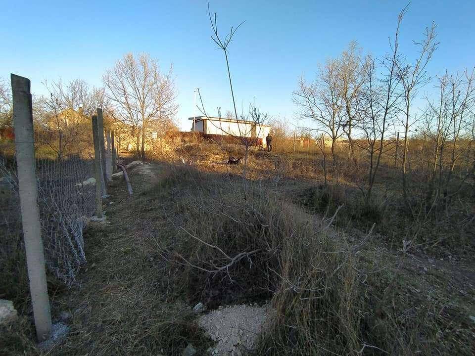 Вдоль этого забора мы посадим кустарники