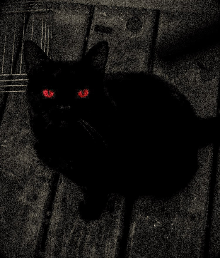 Фото взято из яндекс.картинки 