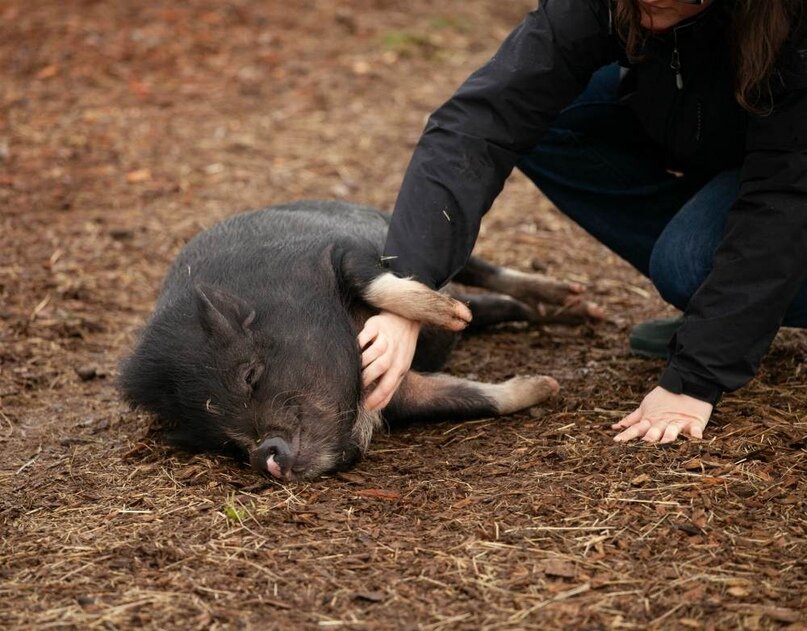 Ben Mater | UnsplashPIN IT